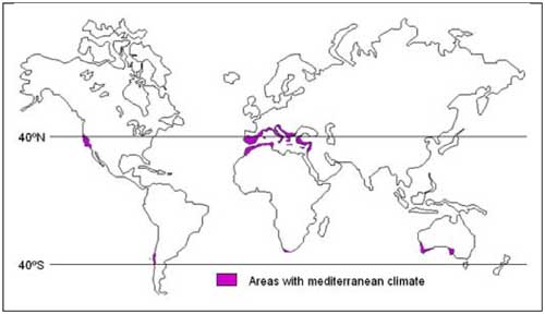 Outlined map of world showing area with Mediterranean climate in purple.