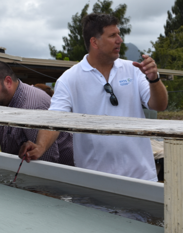 Eric Hochberg placing an optical cable in the water of the CORAL project’s special flume (a chute used to direct the flow of water).
