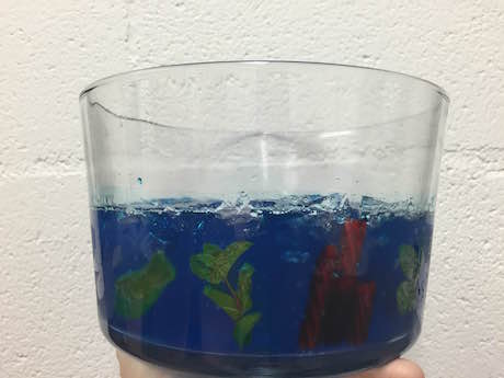 photo of finished ocean ecosystem activity, with gummy fish, mint leaves, and red licorice in blue gelatin