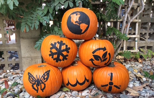 a picture of a pumpkin six pumpkins painted in black with climate-themed stencils