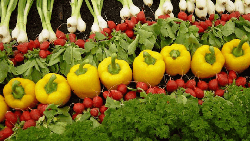 Image of various vegetables, including green onions, radishes and yellow bell peppers.