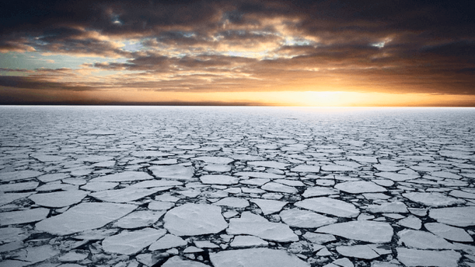 Planet Health Report: SEA ICE