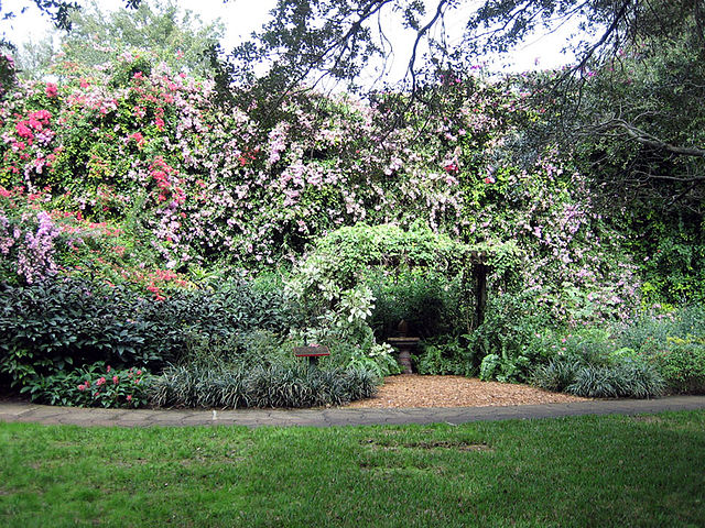 Garden with an archway and purple and pink flowers as well as grass.