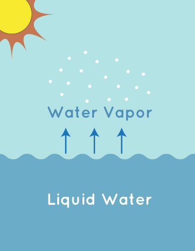 Illustration of water vapor rising from the ocean.