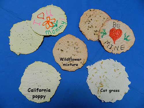 Finished seed paper, round, decorated with flowers, hearts, and words using colored markers.