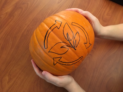 a marker is used to trace the shape of a carbon cycle on a pumpkin