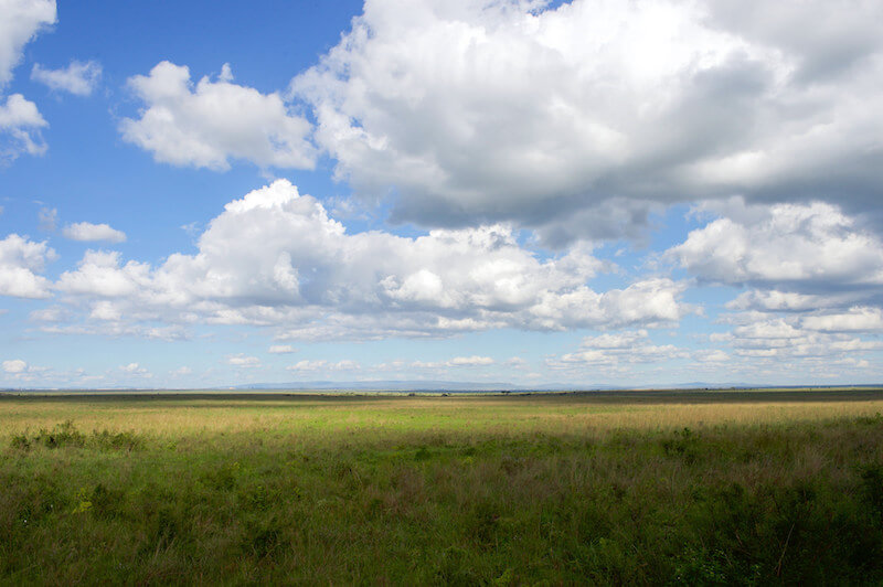 A photograph of white clouds against a blue sky over the savannah in Kenya