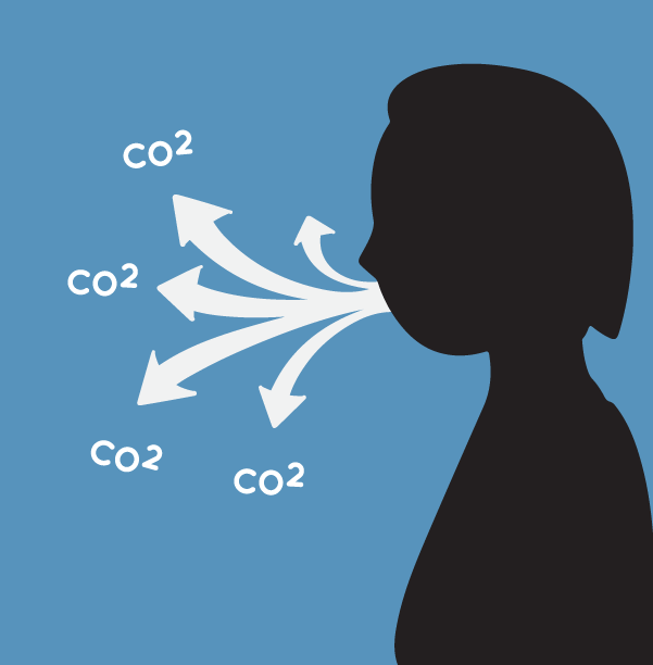 Why Is Carbon Important? | NASA Climate Kids
