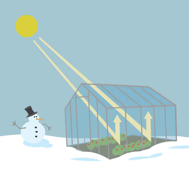 This graphic shows how the Sun's energy is captured inside of a greenhouse to keep plants warm. A yellow circle in the top left corner of the illustration, representing the Sun, emits light yellow arrows that travel into the illustration of a greenhouse. The greenhouse, seen growing green vegetation with red berries, is on top of snow and to the right of a snowman with a carrot nose and black top hat. The yellow arrows depict how heat energy enters a greenhouse and is trapped inside, heating the interior while the outside environment stays cold.