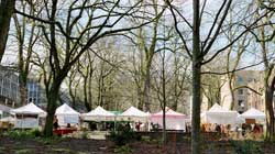 Tents of farmer's market under bare trees.