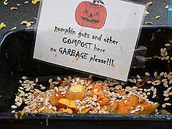 Pumpkin seeds and pieces in a tray, with a sign that says 'Pumpkin guts and other compost here. No garbage please!!!'
