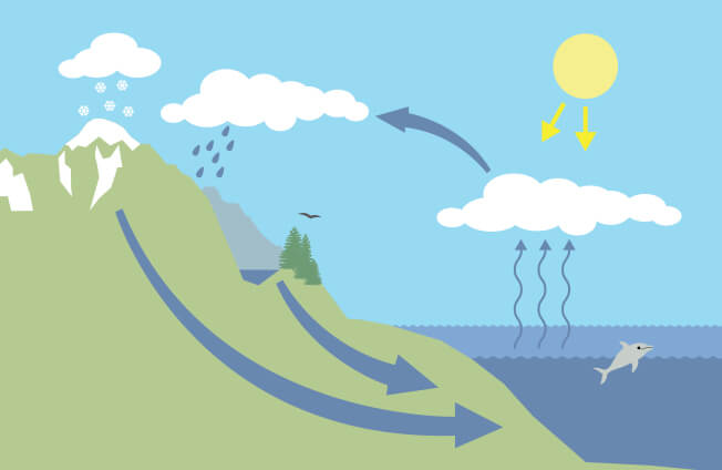 Illustration of the water cycle.