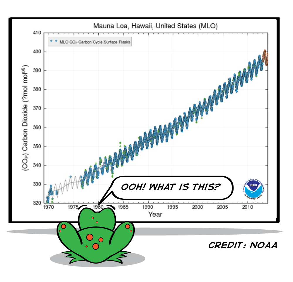 a graph of carbon dioxide in Mauna Loa, Hawaii