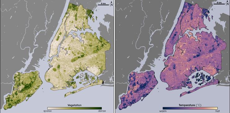 Two satellite map images of New York City showing the cooling effects of plants on the city's heat