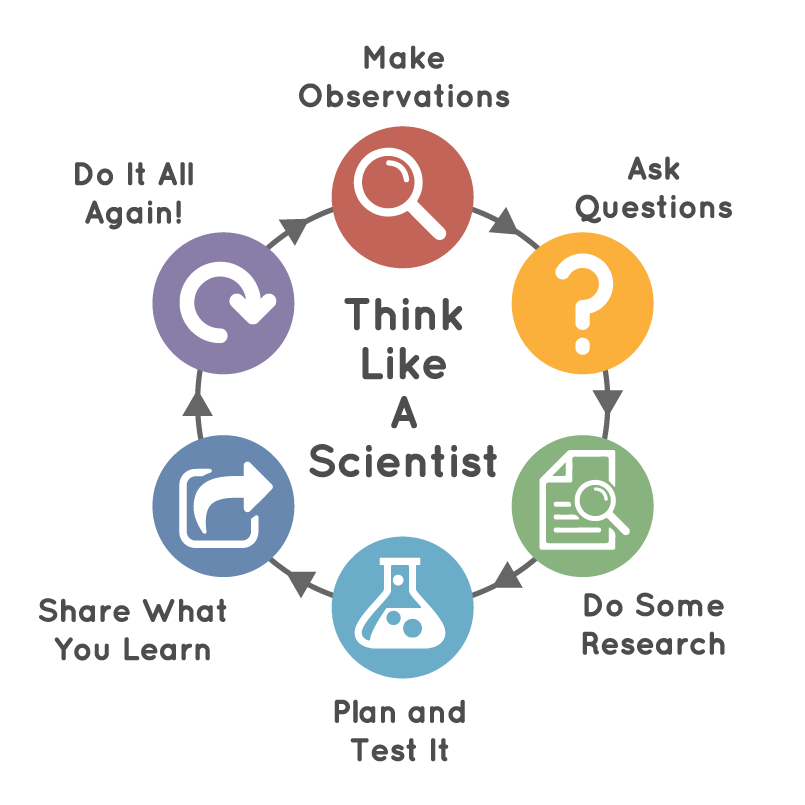 The graphic has six small circles that form a larger circle to show the steps taken when you think like a scientist. In the middle is the text “Think Like A Scientist.” At the top is a red circle with a white magnifying glass illustration in it. Above it is the text “Make Observations.” Following clockwise around the circle, there is a yellow circle with a white question mark in it. Above it is the text “Ask Questions.” The next circle is green with an illustration of a piece of paper with the top left corner folded down, three lines going from left to right and the same magnifying glass illustration from the red circle on top of the paper. Below it is the text “Do Some Research.” At the bottom is a light blue circle with a white illustrated flask in it. The larger bottom part of the flask is mainly colored white with two small circles taken away. There is one even smaller circle that is white at the top of the flask. Below the light blue circle is the text “Plan and Test It.” The next circle is blue in color and has a white square with curved edges and a large white arrow that points to the right. Next to it is the text “Share What You Learn.” The last circle is purple with a white arrow in it that curves like the circle, following a clockwise direction. The text above it says “Do It All Again!” Between each of the colored circles are dark gray lines with an arrow in the middle all following a clockwise direction.