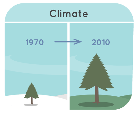 Illustration of a tree in snowy weather in 1970 and then the same tree, now larger, in a green landscape in 2010.