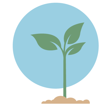 Illustration of a green sprout with 3 leaves growing from the dirt.