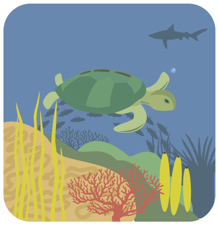 Illustration of the ocean floor with coral, a sea turtle, various fish and a shark.