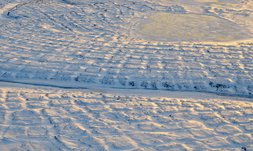 A photo of white snow on the frozen ground