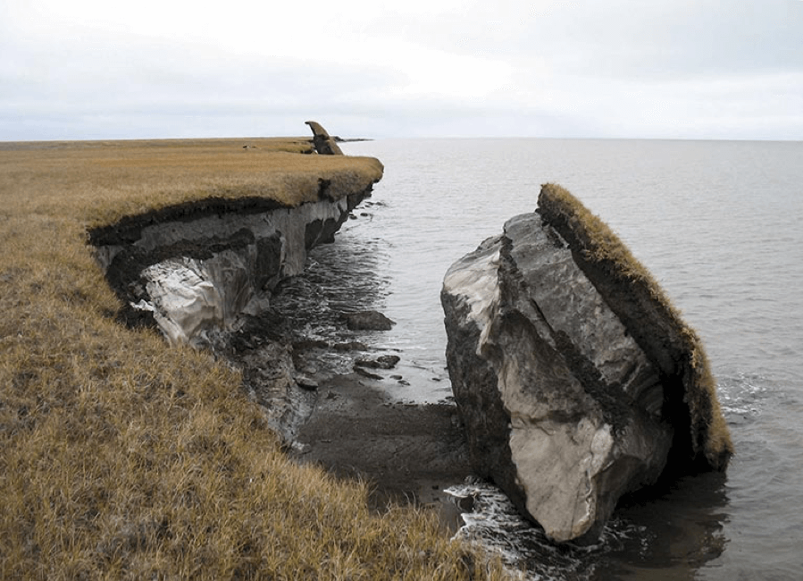 A photo showing a block of thawed permafrost with vegetation on top that broke off and fell into the ocean