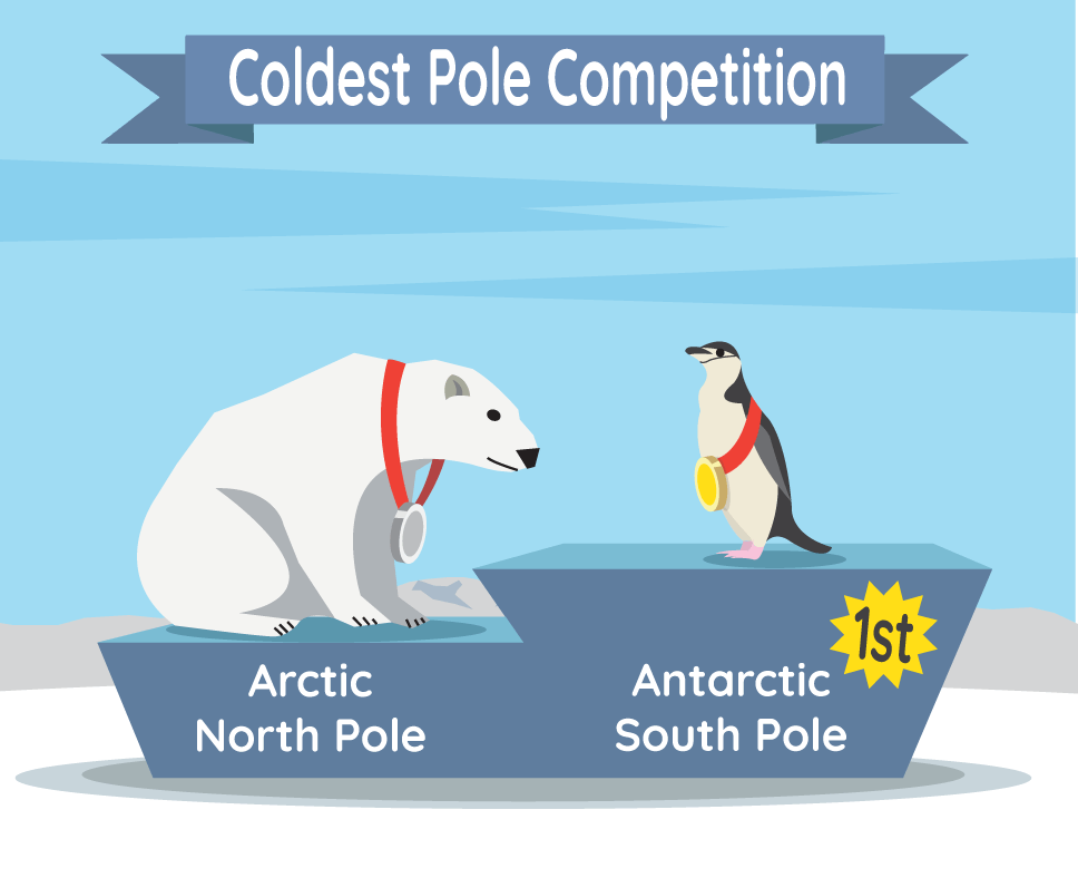 A medal award ceremony for the coldest pole competition. At the top is a blue banner that reads “Coldest Pole Competition.” There is a blue podium with two heights. At a lower height on the blue podium is a white polar bear with a silver medal hanging around its neck by a red ribbon. At a higher height on the blue podium is a black and white penguin with a gold medal hanging around its neck by a red ribbon. Below the polar bear on the podium is the label “Arctic North Pole.” Below the penguin on the podium is the label “Antarctic South Pole” along with a yellow sun-shaped sticker with black writing on it that says “1st.” There is a light blue sky in the background. This is a gray and white ground behind and below the podium.