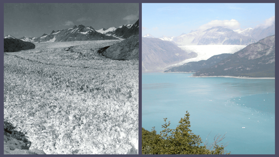 Alaska's Muir glacier in August 1941 and August 2004.
