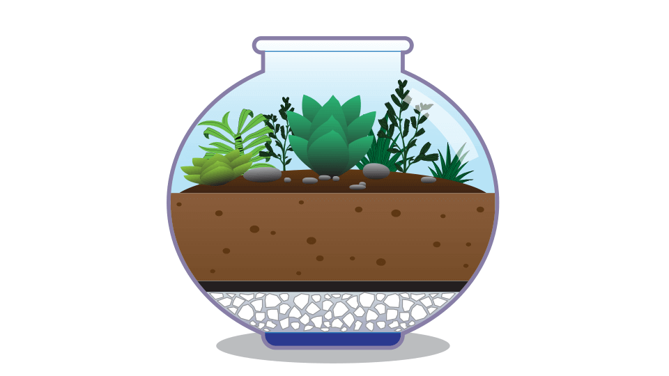 Terrarium, come realizzare il tuo mini giardino - Peraga Garden Center