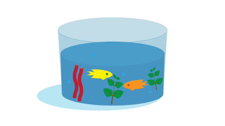 ocean environment for kids