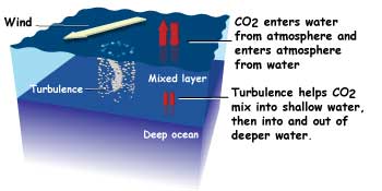  Dessin en coupe transversale de l'océan, le vent produisant des turbulences et mélangeant du dioxyde de carbone dans l'eau.