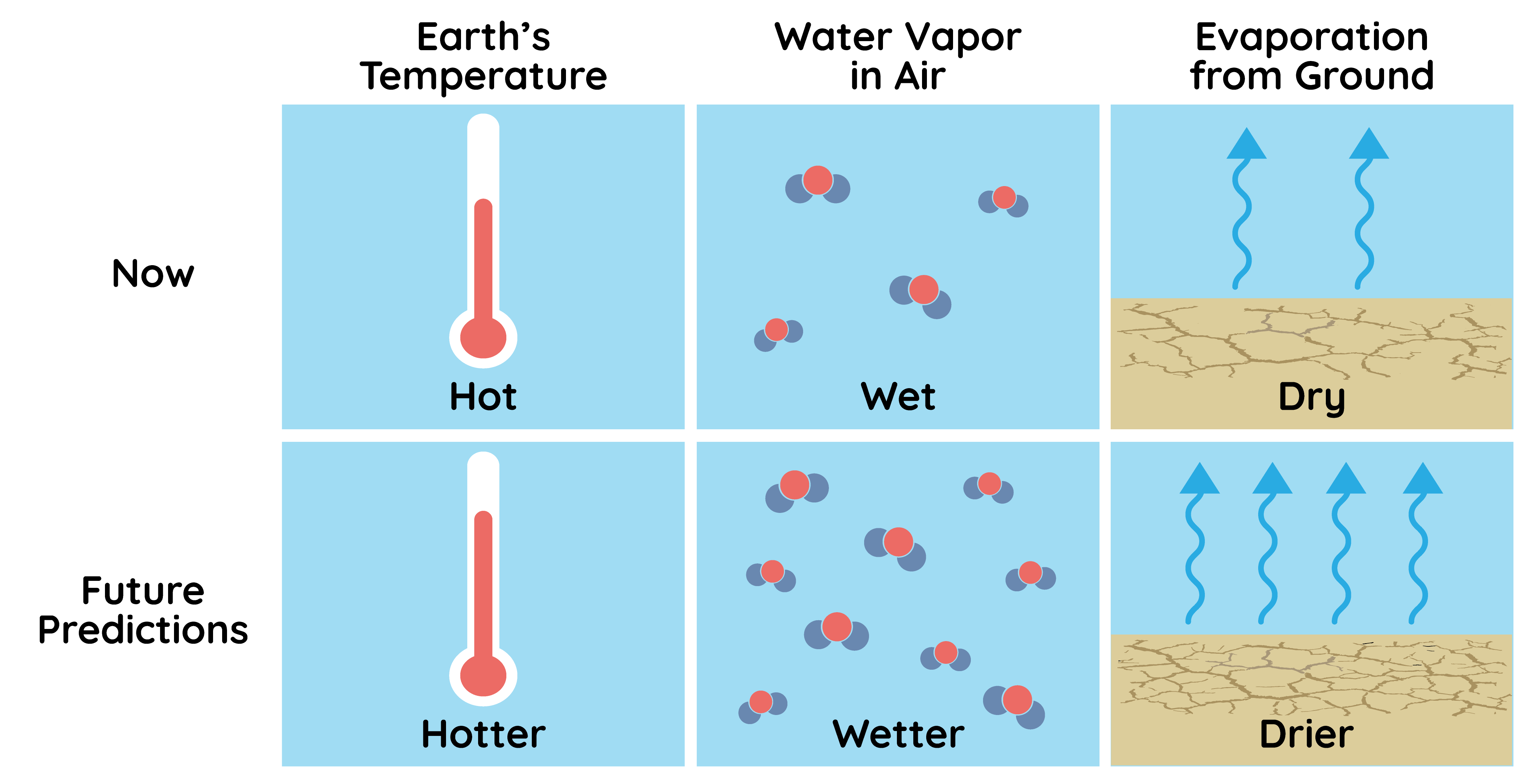 A grid of six boxes is shown with illustrations in each box. On the left, the two rows are labeled 'Now' and 'Future Predictions.' On the top, the columns are labeled 'Earth’s Temperature,' 'Water Vapor in Air,' and 'Evaporation from Ground.' The top left box shows a white thermometer that is filled to about halfway with red surrounded by a blue background. It is labeled 'Hot.' Below that is a box with the same illustration except the red color fills up more of the white thermometer and it is labeled 'Hotter.' The top middle box shows four water molecules that have a red circle with two smaller blue circles next to them and is labeled 'Wet.' The box below it is similar but with nine water molecules and is labeled 'Wetter.' The right top box shows a tan ground with some cracks in it with two light blue wavy arrows rising up from it and is labeled 'Dry.' The bottom right illustration is similar but the ground has more cracks in it and there are now four wavy arrows, and it is labeled 'Drier.'
