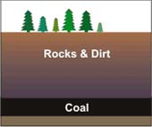Drawing shows trees growing on surface, with layers of rocks and dirt above the deeply buried coal.